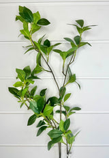 TCT Crafts Artificial 38" Green Mini Focus Leaf Branch - Craft and Home Decor Supply - Artificial Greenery for Arrangements - FL6103-G Select Artificials