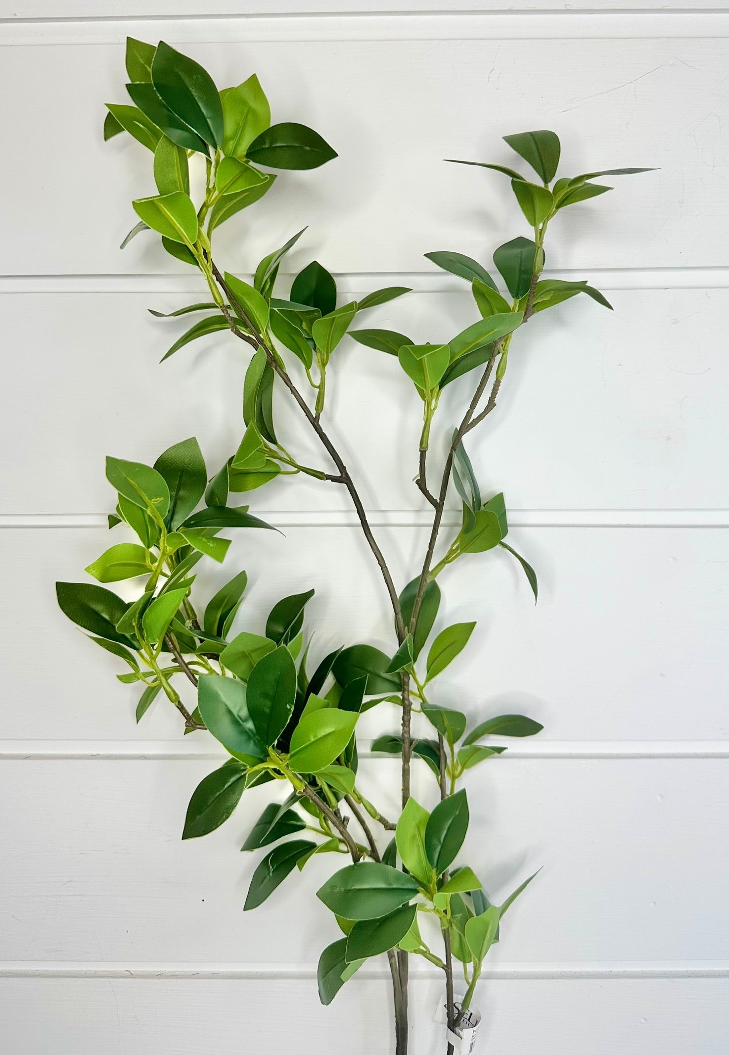 TCT Crafts Artificial 38" Green Mini Focus Leaf Branch - Craft and Home Decor Supply - Artificial Greenery for Arrangements - FL6103-G Select Artificials