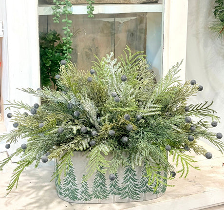 Snowy Fern & Juniper Winter Arrangement in Green Tree Cement Planter-2211 TCT Crafts