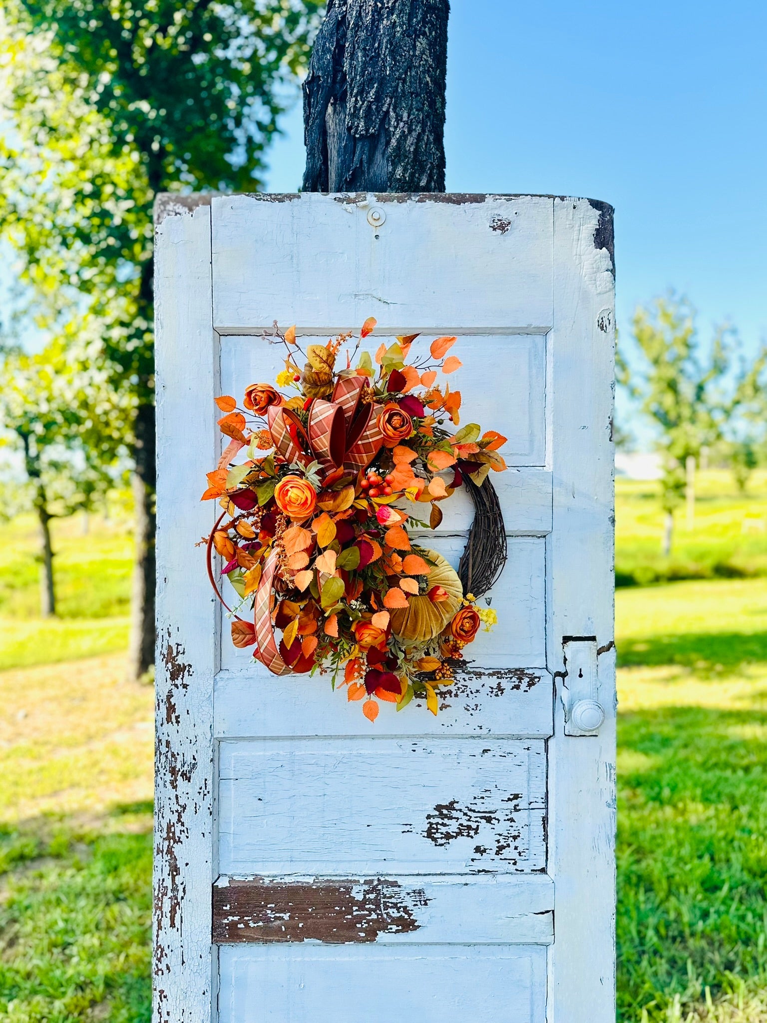 Fall Grapevine Pumpkin Wreath with Velvet Pumpkins, Ranunculus, Leaves, Berries & Designer Ribbon TCT Crafts
