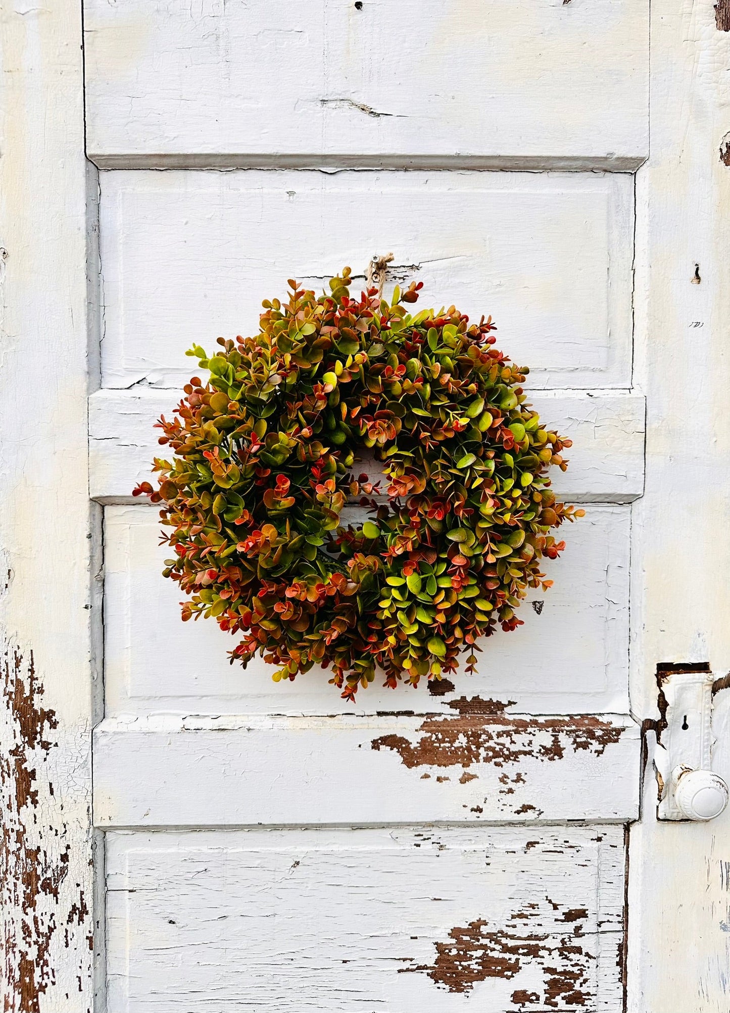 Small Fall Boxwood Wreath | 15" Autumn Front Door & Thanksgiving Decor TCTCrafts