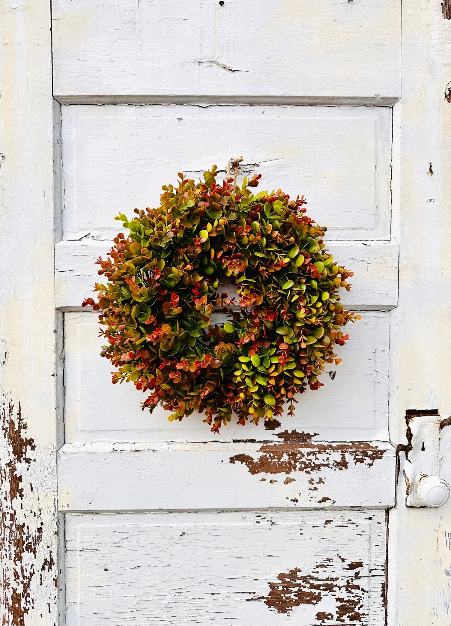 Small Fall Boxwood Wreath | 15" Autumn Front Door & Thanksgiving Decor TCTCrafts