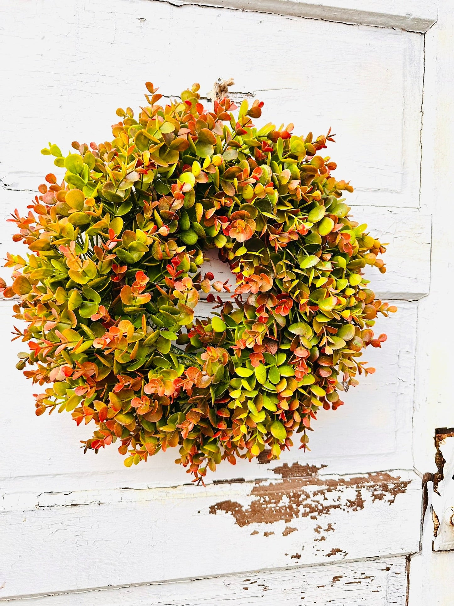 Small Fall Boxwood Wreath | 15" Autumn Front Door & Thanksgiving Decor TCTCrafts