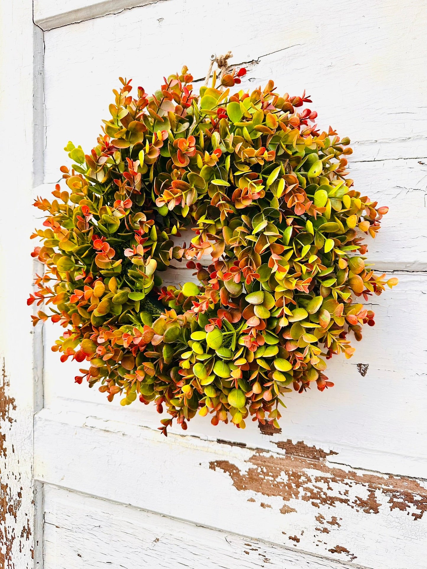 Small Fall Boxwood Wreath | 15" Autumn Front Door & Thanksgiving Decor TCTCrafts