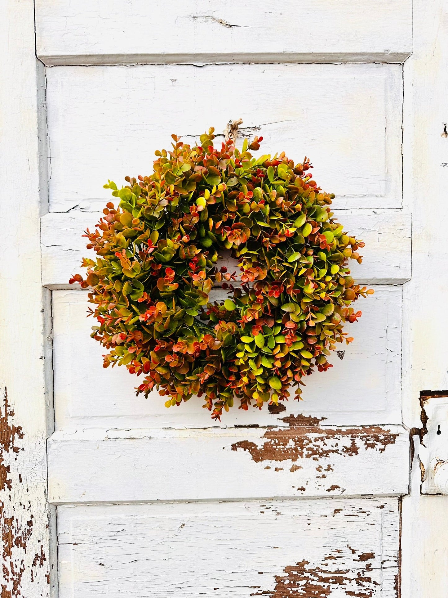 Small Fall Boxwood Wreath | 15" Autumn Front Door & Thanksgiving Decor TCTCrafts