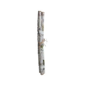 Iced Birch Log Bundle | Rustic Winter Decor Accent | 21" Log Bundle-XE8765 Craig Bachman