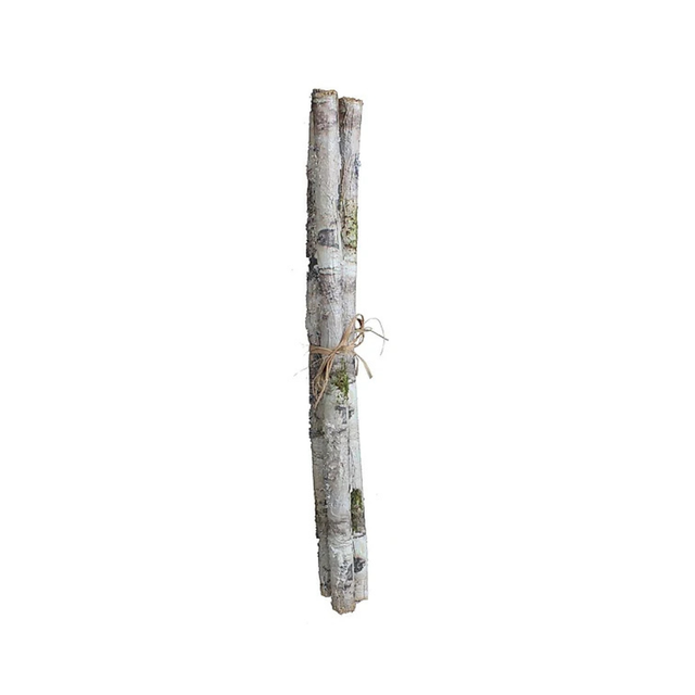 Iced Birch Log Bundle | Rustic Winter Decor Accent | 21" Log Bundle-XE8765 Craig Bachman
