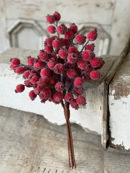 Iced Everberry Bundle — 18 Inch Frosted Red Berry Christmas Wreath Supply-XLA4665 Lancaster & Vintage