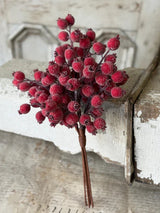 Iced Everberry Bundle — 18 Inch Frosted Red Berry Christmas Wreath Supply-XLA4665 Lancaster & Vintage