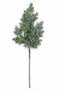 32" Frosted Cedar Spray with Blue Berries-85775-BL Golden Bell