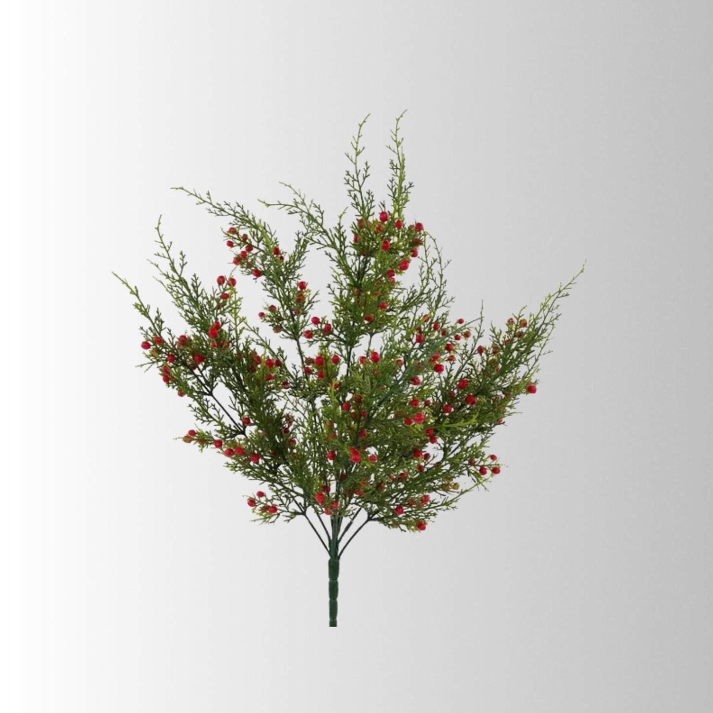 Oregon Juniper Berry Bush 21 Inch Christmas Greenery-XX994224 Craig Bachman