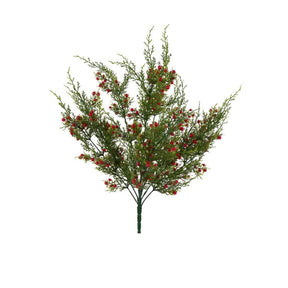 Oregon Juniper Berry Bush 21 Inch Christmas Greenery-XX994224 Craig Bachman