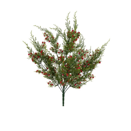 Oregon Juniper Berry Bush 21 Inch Christmas Greenery-XX994224 Craig Bachman
