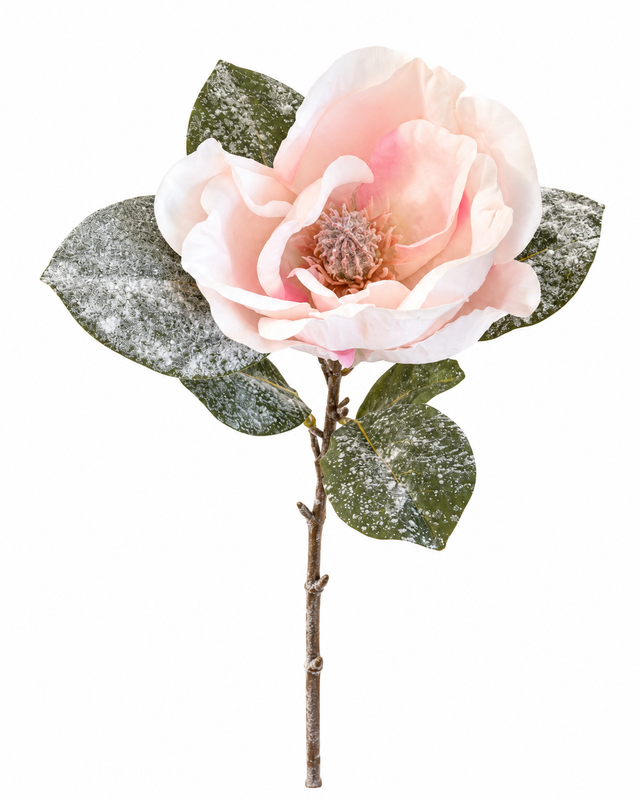 Snowy Light Pink Magnolia Spray | Frosted Winter Floral Stem | 27.5" Spray-XM14833-LP Green Import