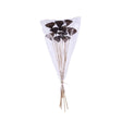 Natural Lotus Pod Stem Bundle 23.5 Inch Set of 10-TT3177 Craig Bachman