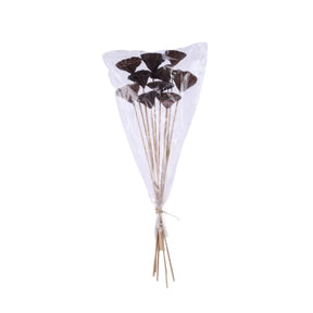 Natural Lotus Pod Stem Bundle 23.5 Inch Set of 10-TT3177 Craig Bachman