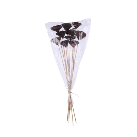 Natural Lotus Pod Stem Bundle 23.5 Inch Set of 10-TT3177 Craig Bachman