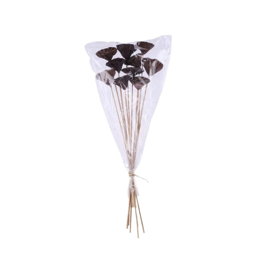 Natural Lotus Pod Stem Bundle 23.5 Inch Set of 10-TT3177 Craig Bachman