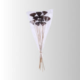 Natural Lotus Pod Stem Bundle 23.5 Inch Set of 10-TT3177 Craig Bachman