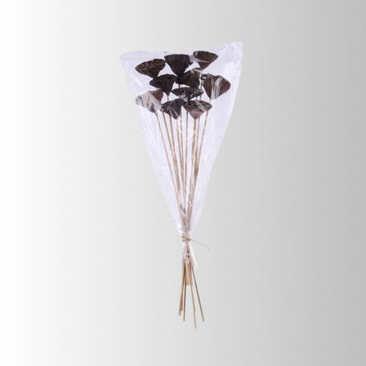 Natural Lotus Pod Stem Bundle 23.5 Inch Set of 10-TT3177 Craig Bachman