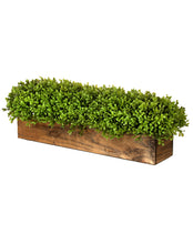 Load image into Gallery viewer, 26&quot; Artificial Boxwood Centerpiece - Greenery in Rustic Wooden Planter