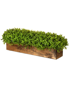 26" Artificial Boxwood Centerpiece - Greenery in Rustic Wooden Planter