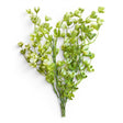 Artificial Mini Cup Leaf Bush Faux Greenery for Wreaths and Arrangements-FL4303-CG TCTCrafts
