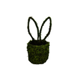Moss Bunny Ears Basket – 14"x6" Natural Grapevine Easter & Spring Decor-63656GN Liberty Floral