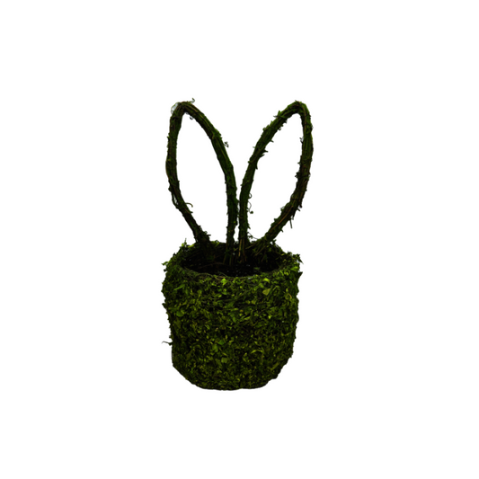 Moss Bunny Ears Basket – 14"x6" Natural Grapevine Easter & Spring Decor-63656GN Liberty Floral