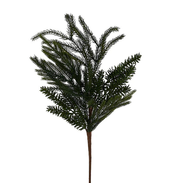 Noble Fir Norfolk Pine Spray | Natural Christmas Greenery Stem | 24" Spray-XX2602 Craig Bachman
