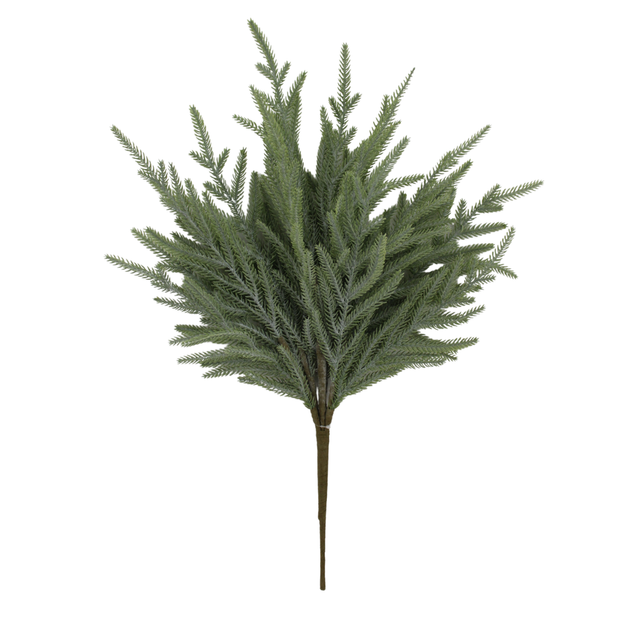 Norfolk Pine Bush | Natural Greenery Filler Stem | 22" Bush-65889 Golden Bell