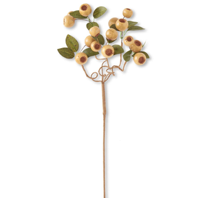 Artificial Olive Pod Stem (Qty 1) with Green Leaves — 19 Inch Neutral Wreath Supply-14251A-OL K & K Interiors