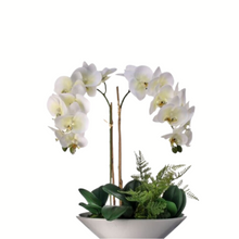 Load image into Gallery viewer, 20&quot; Artificial Phalaenopsis Orchid Arrangement | Faux White Orchid in Ceramic Bowl