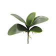 12 Inch Artificial Orchid Leaves Bush for Floral Arrangements and Planters-58806 Golden Bell