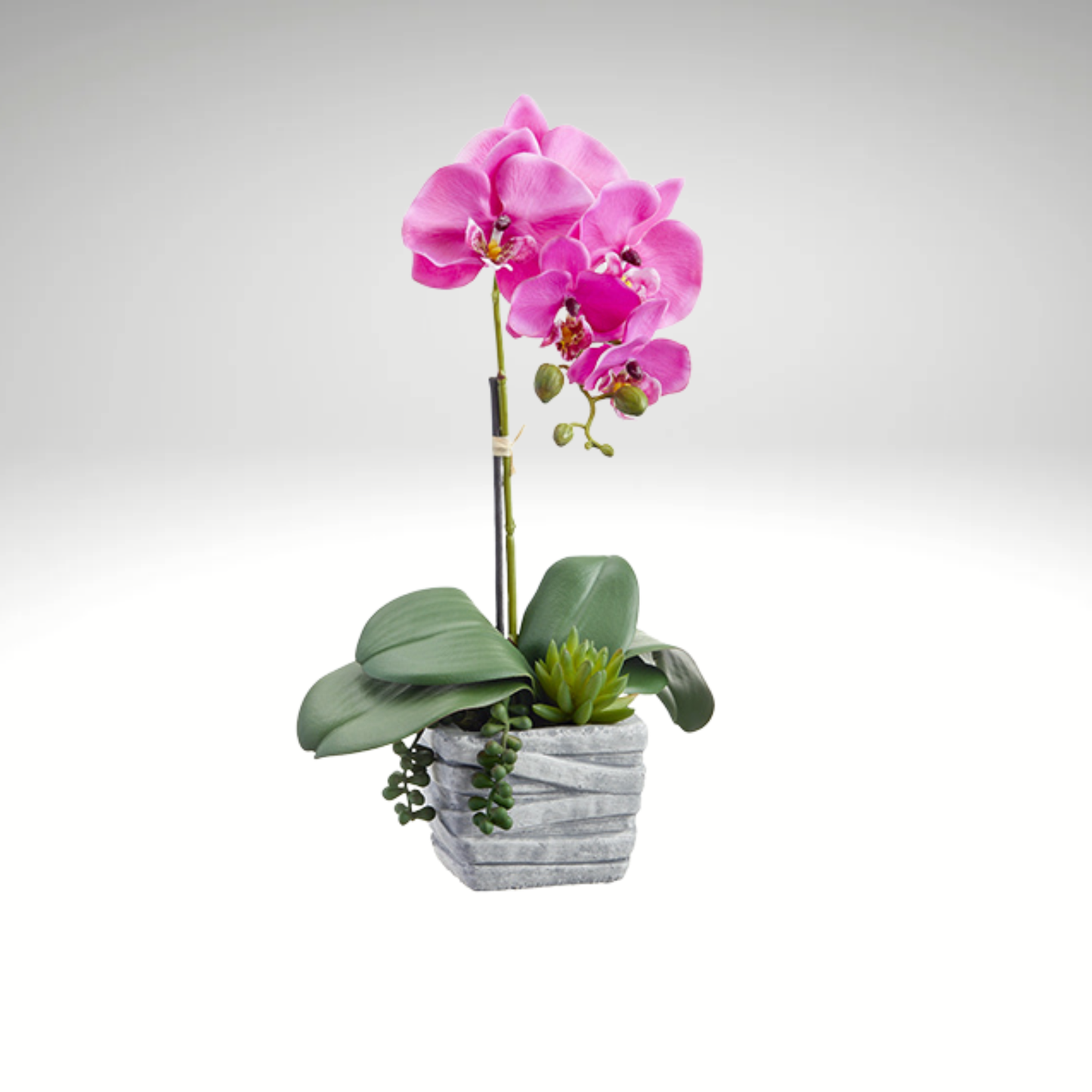 Pink Phalaenopsis Orchid Arrangement-LFO004-OC