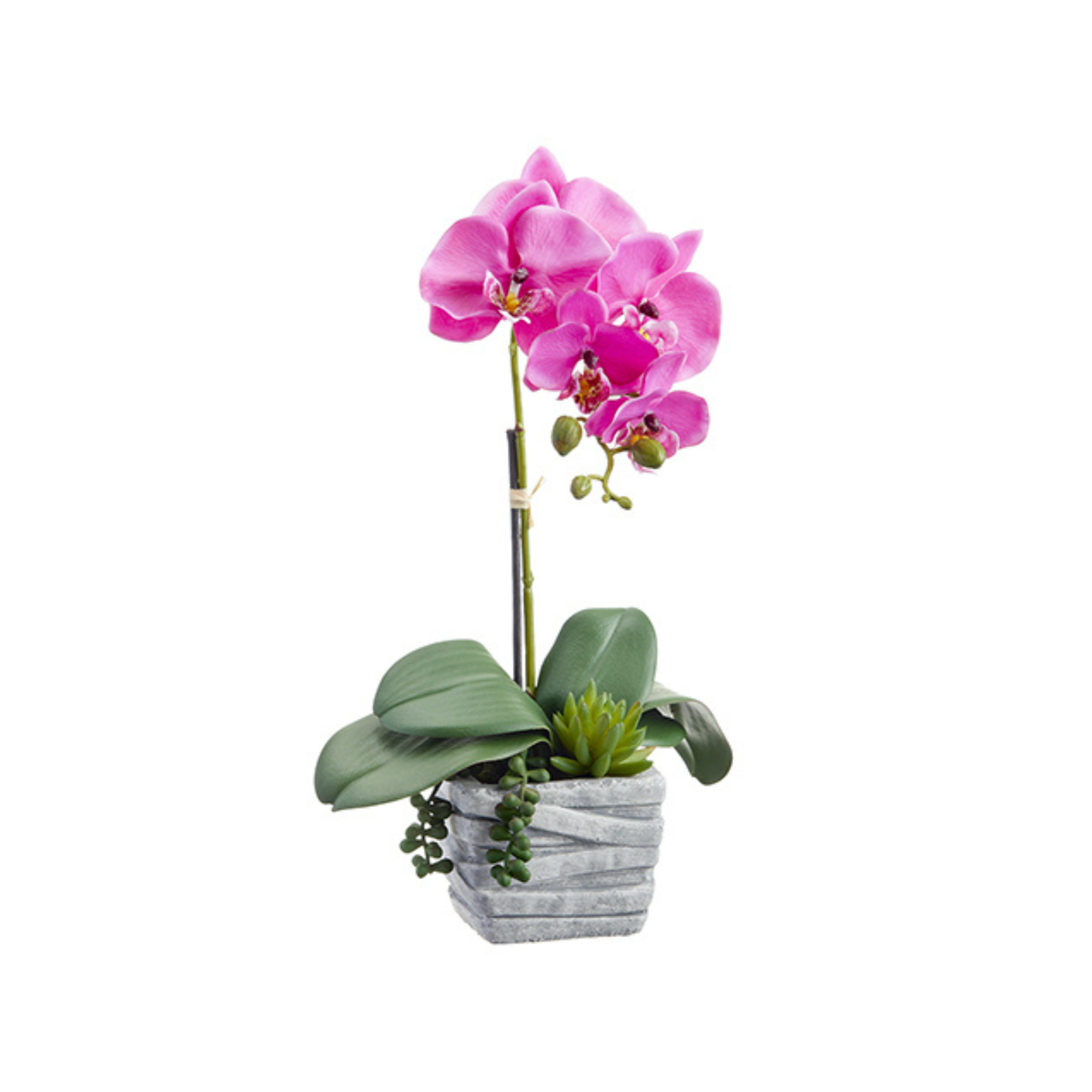 Pink Phalaenopsis Orchid Arrangement-LFO004-OC