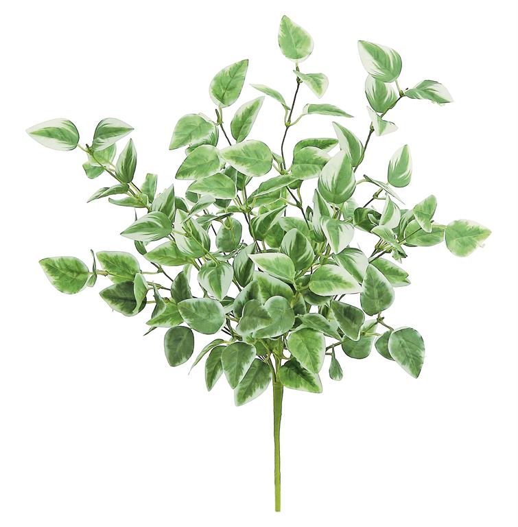 18" Arrow Ivy Bush in Green/Cream - Greenery Accent for Decor - Perfect for DIY Arrangements and Centerpieces- (PM3020-GC) Select Artificials