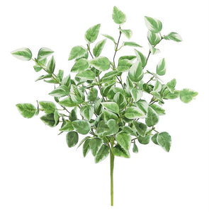 18" Arrow Ivy Bush in Green/Cream - Greenery Accent for Decor - Perfect for DIY Arrangements and Centerpieces- (PM3020-GC)