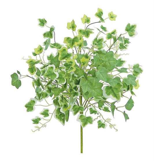 8" Artificial Green/Cream Cottage Ivy Bush- Greenery Accent for Decor - Perfect for DIY Arrangements and Centerpieces-(PM3024-GC) Select Artificials