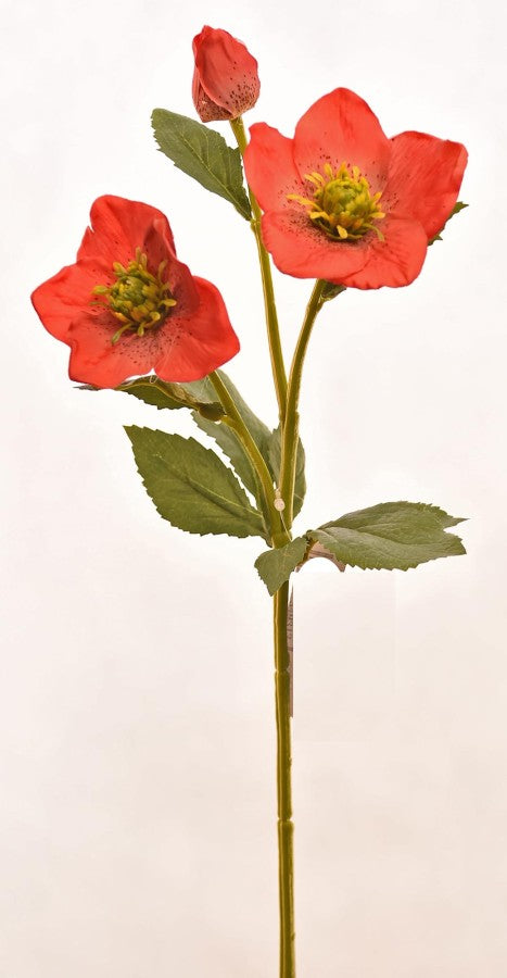 16 Inch Artificial Red Helleborus Stem for Wreaths and Floral Arrangements Fantastic Craft