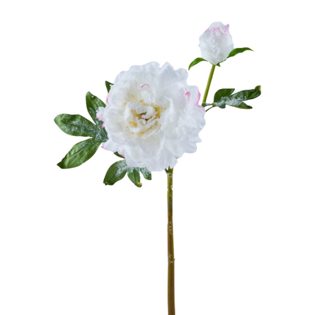 22" Artificial Snowy Peony Spray | White Winter Floral Stem for Christmas & Weddings-FS386127 Craig Bachman
