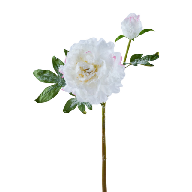 22" Artificial Snowy Peony Spray | White Winter Floral Stem for Christmas & Weddings-FS386127 Craig Bachman
