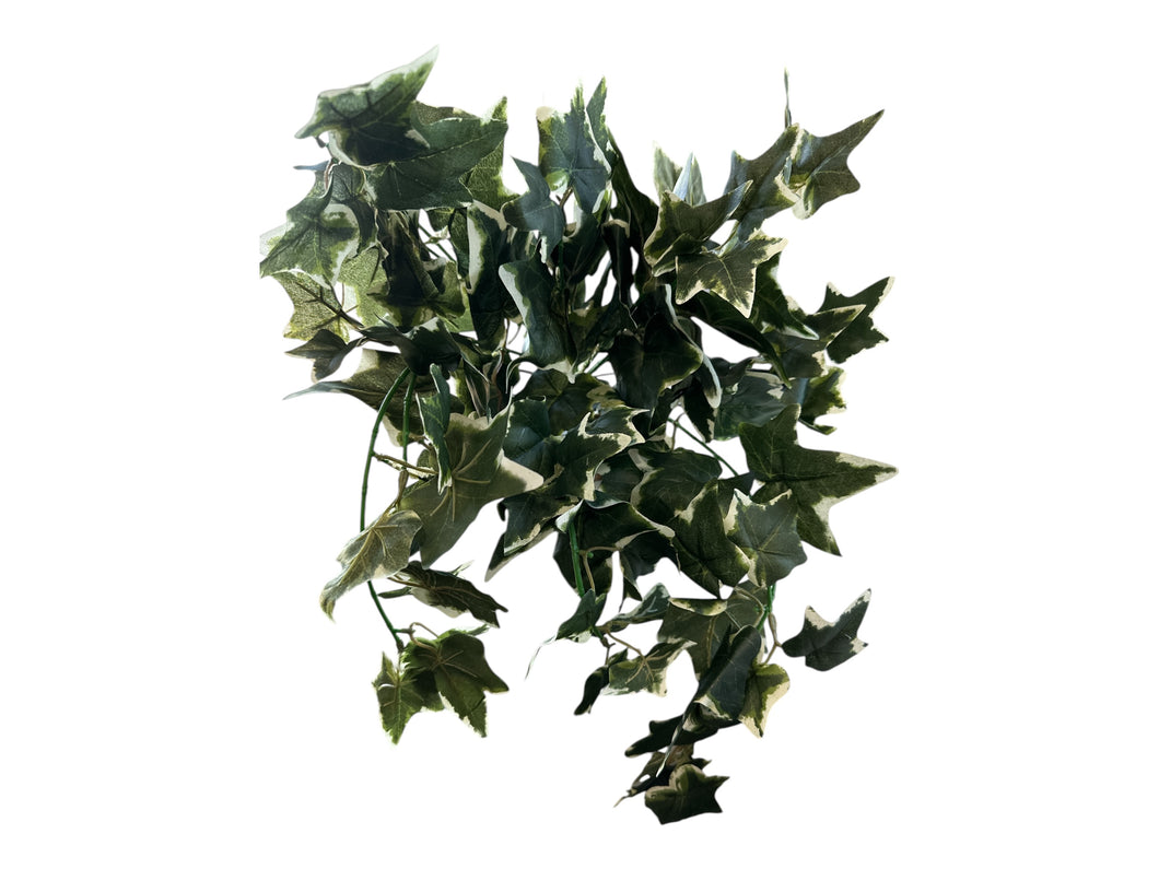 22'' Artificial Variegated Ivy Hanging Bush - 12 Stems for Home Decor-13425VAGN