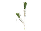 29'' Natural Foam Carrot Spray - Rustic Decor for Wreaths & Arrangements-63465BE