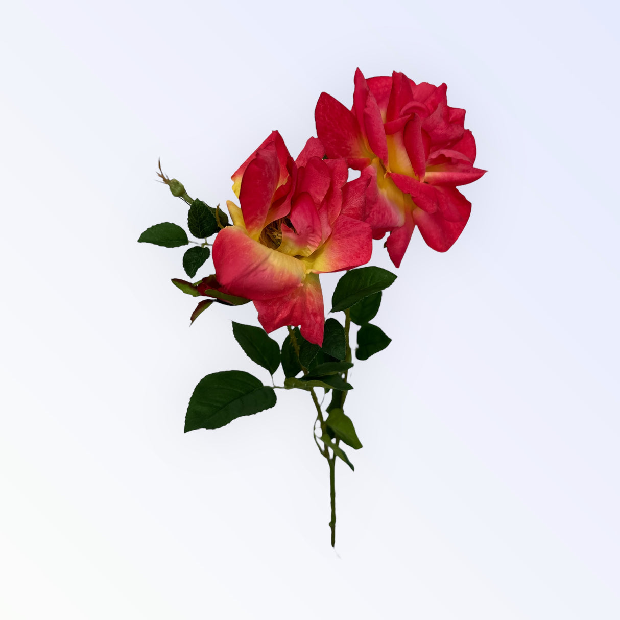 35" Realistic Pink Open Rose Spray with Faux Thorns – Long Stem Artificial Flower for Arrangements, Wreaths & Home Decor-FSR845-TY