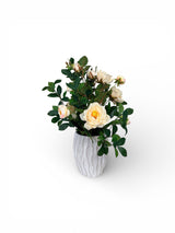 Artificial Cream Rose Arrangement in Cement Planter TCT Crafts