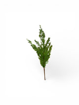 20" Artificial Cedar Spray | Realistic Greenery for Holiday Crafts Green Import