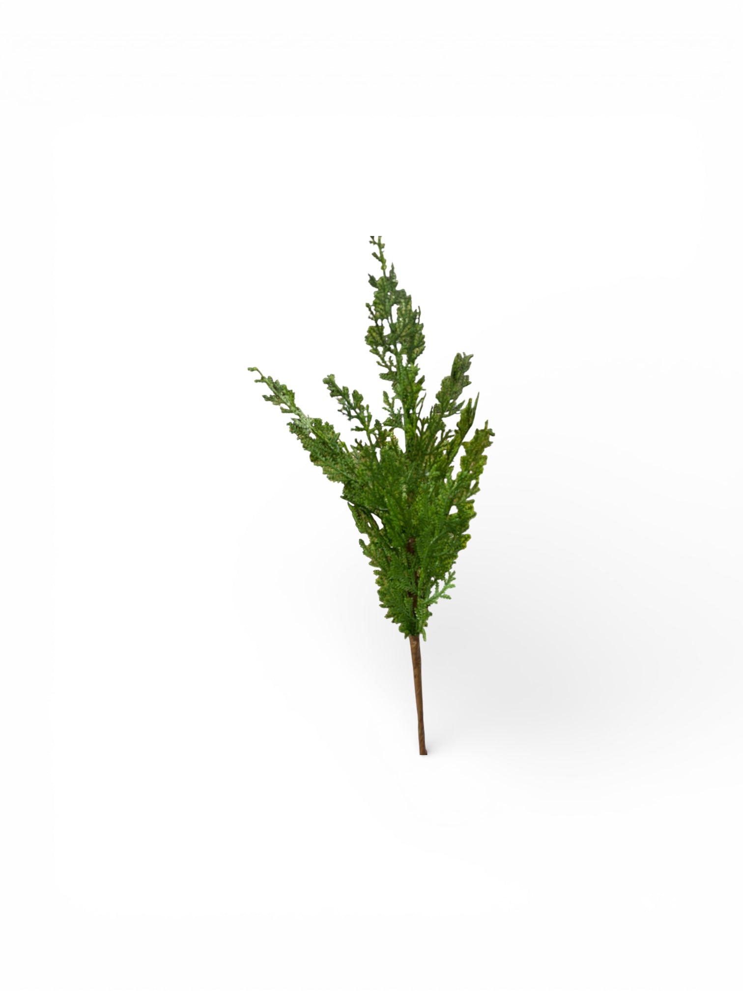 20" Artificial Cedar Spray | Realistic Greenery for Holiday Crafts Green Import