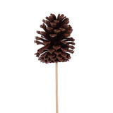 Natural Pinecone Pick 10 Inch Stem for Crafts-XD135418 Craig Bachman