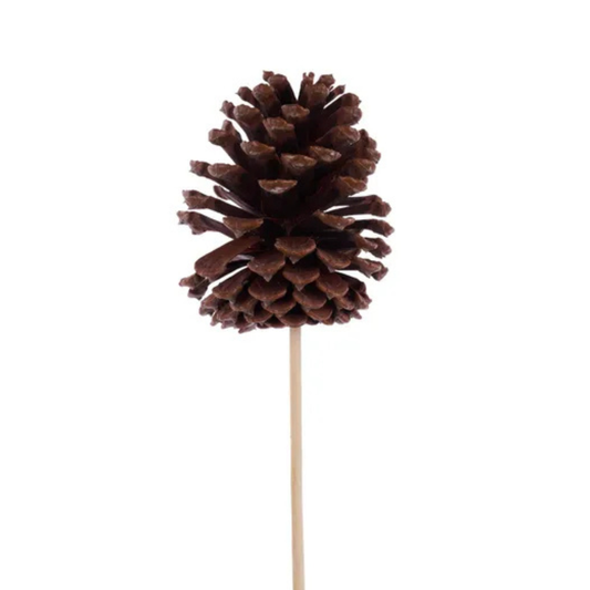 Natural Pinecone Pick 10 Inch Stem for Crafts-XD135418 Craig Bachman